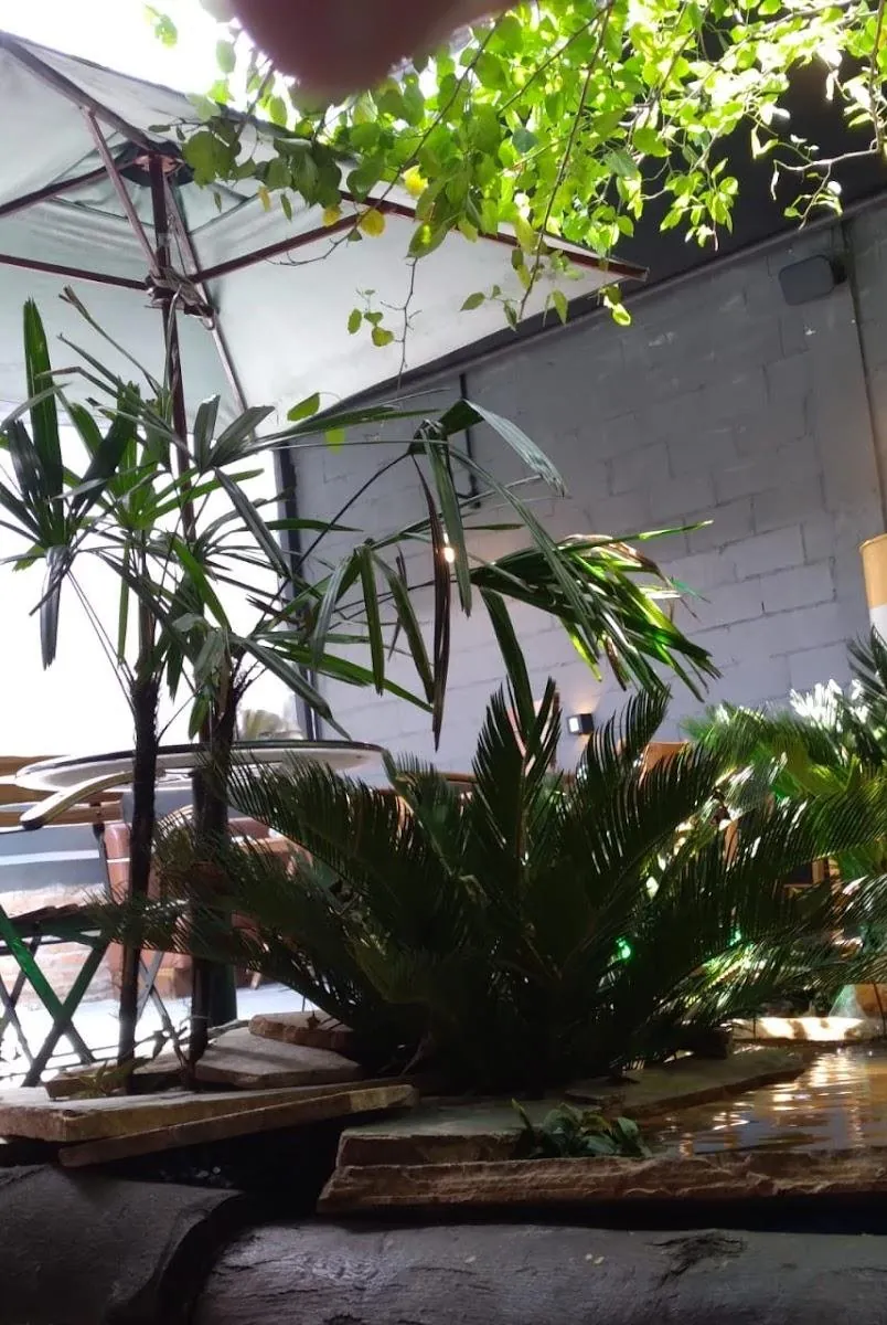 Quintal dos fundos da HB com árvore, plantas e mesas ao ar livre